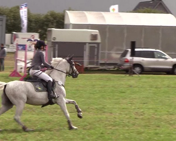 Reitturnier Behrendorf 2018