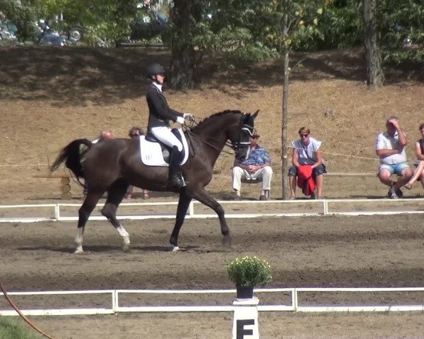 Reitturnier Gardelegen 2018