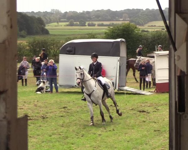 Reitturnier Behrendorf 2018
