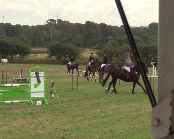 Reitturnier Behrendorf 2018
