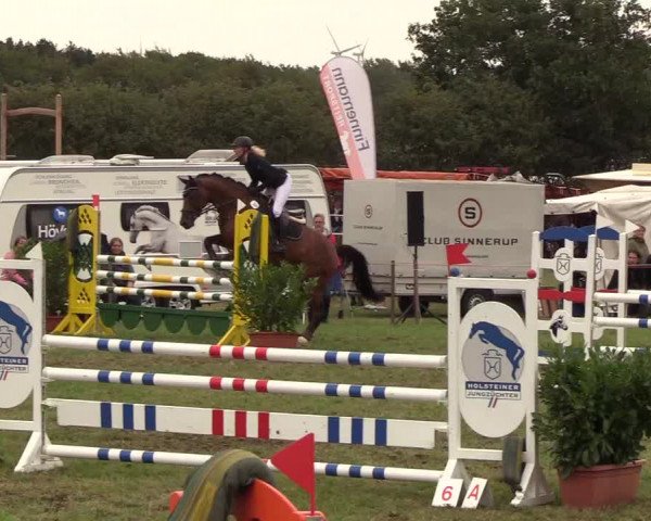 Reitturnier Behrendorf 2018