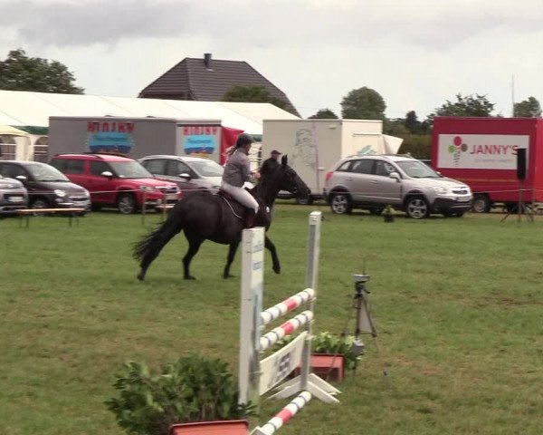 Reitturnier Behrendorf 2018