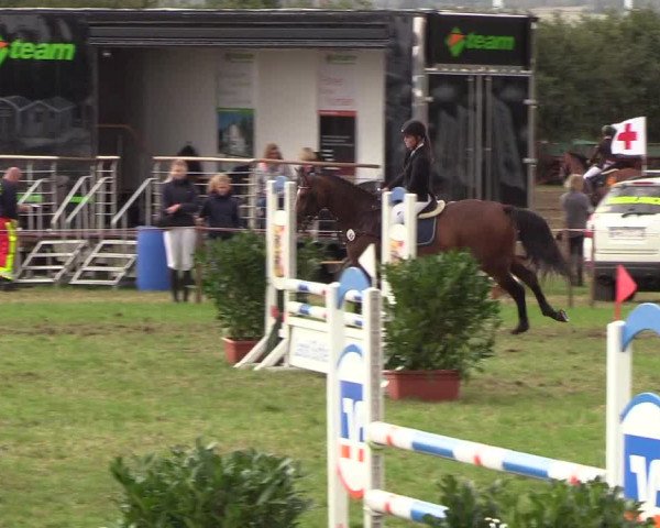 Reitturnier Behrendorf 2018