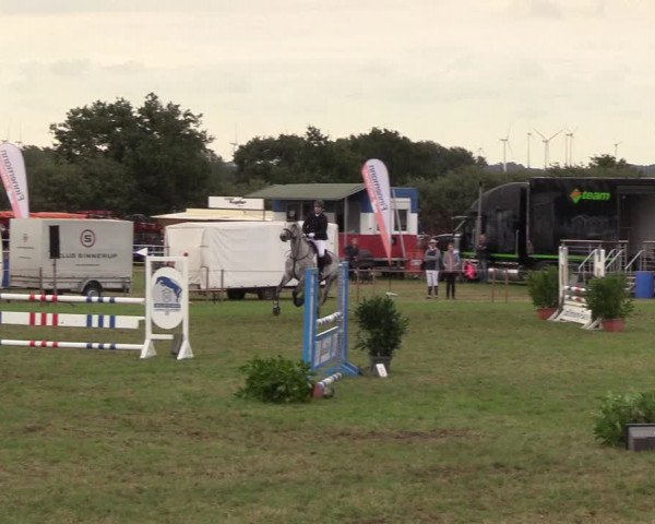 Reitturnier Behrendorf 2018