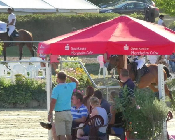 Reitturnier Oberderdingen 2018