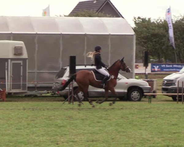 Reitturnier Behrendorf 2018
