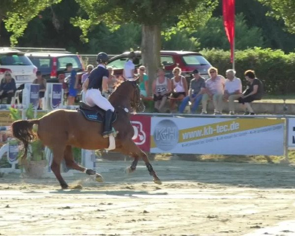 Reitturnier Oberderdingen 2018
