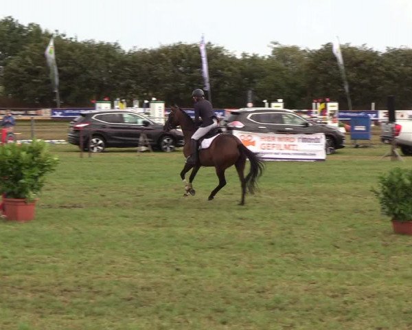 Reitturnier Behrendorf 2018