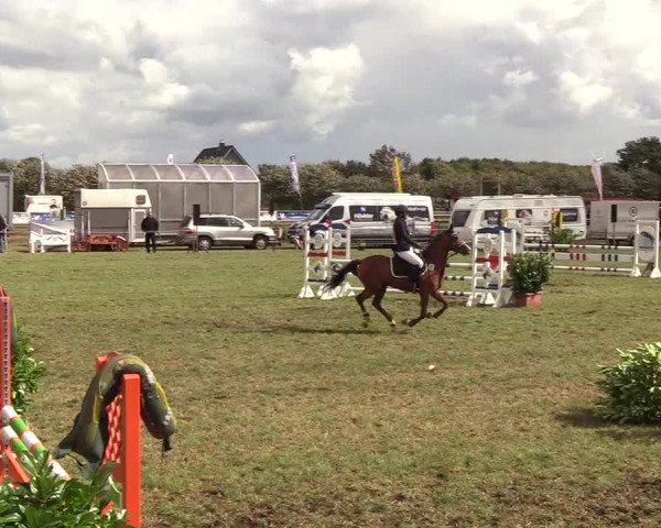 Reitturnier Behrendorf 2018