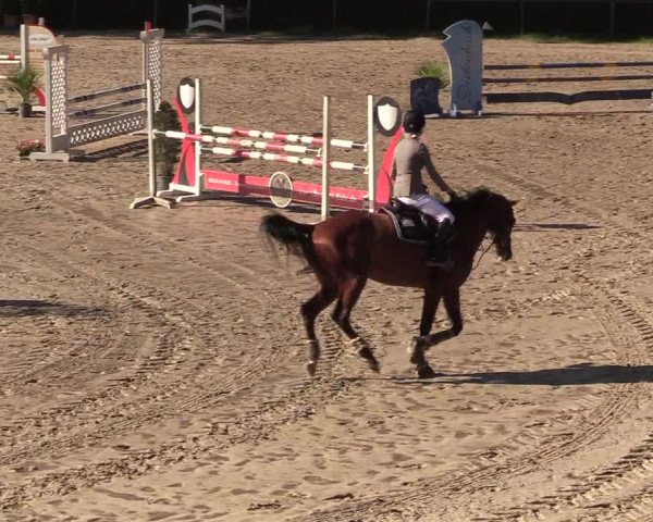 Reitturnier Neunkirchen-Salchendorf 2018