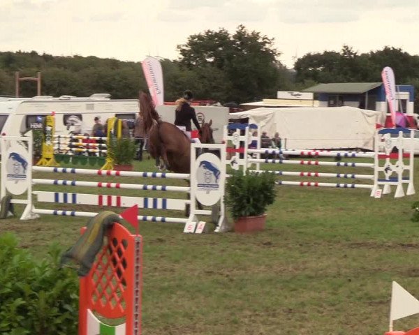 Reitturnier Behrendorf 2018