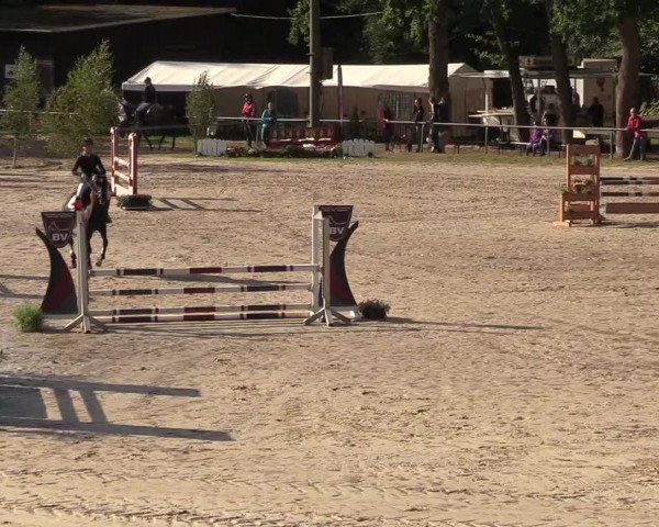 Reitturnier Neunkirchen-Salchendorf 2018