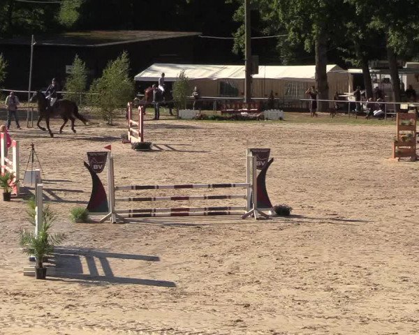Reitturnier Neunkirchen-Salchendorf 2018