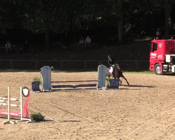 Reitturnier Neunkirchen-Salchendorf 2018