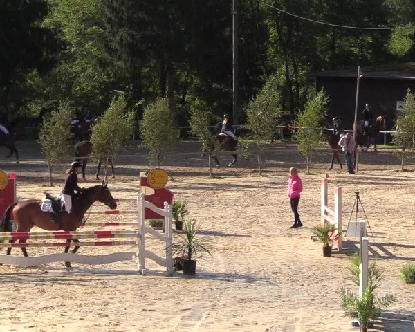 Reitturnier Neunkirchen-Salchendorf 2018