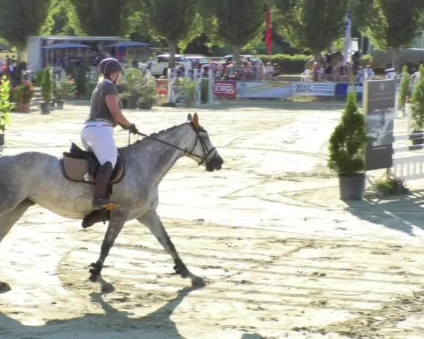 Reitturnier Oberderdingen 2018