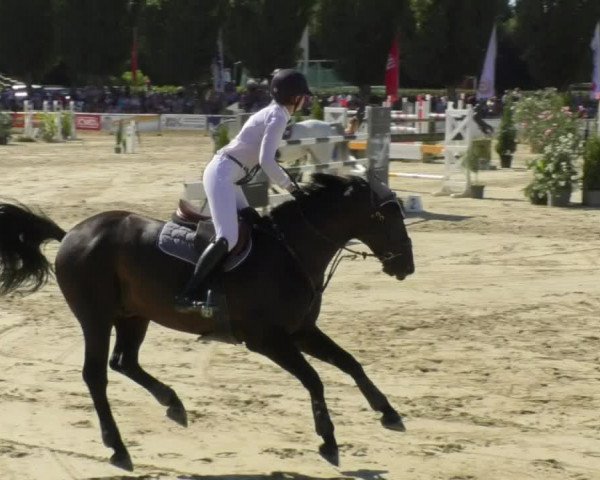 Reitturnier Oberderdingen 2018