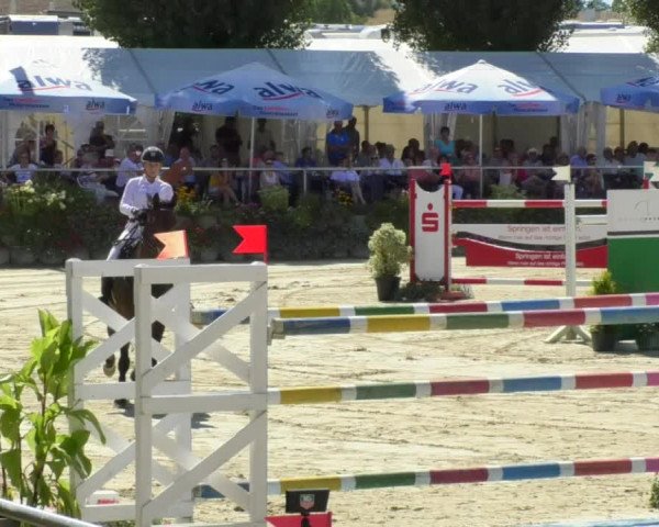 Reitturnier Oberderdingen 2018