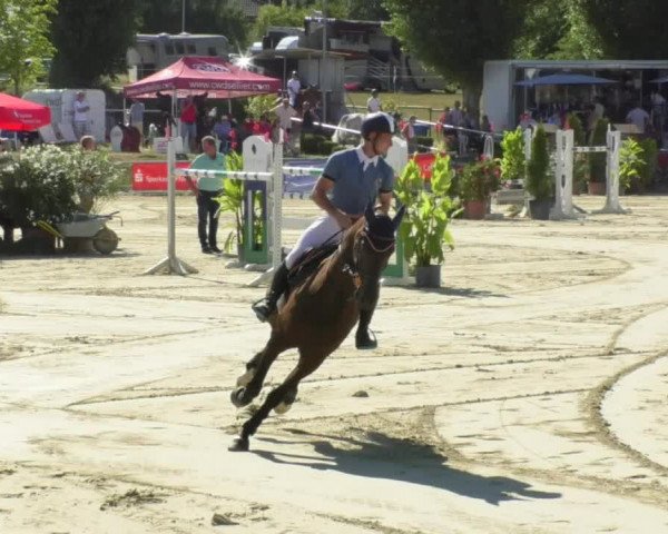 Reitturnier Oberderdingen 2018