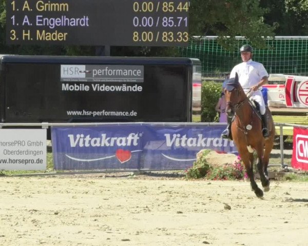 Reitturnier Oberderdingen 2018