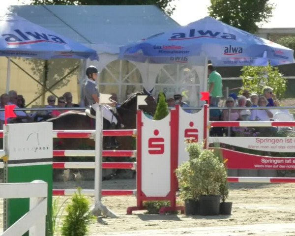 Reitturnier Oberderdingen 2018