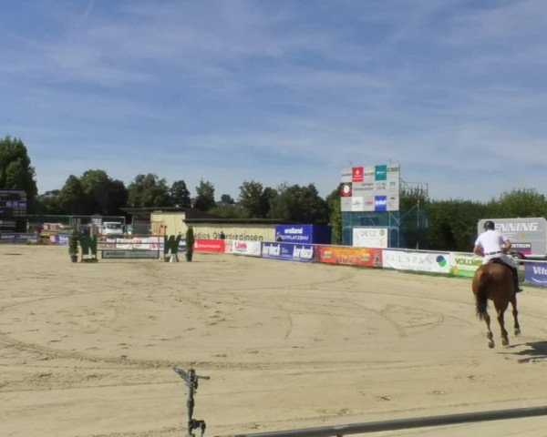 Reitturnier Oberderdingen 2018