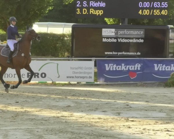 Reitturnier Oberderdingen 2018