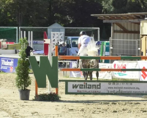 Reitturnier Oberderdingen 2018