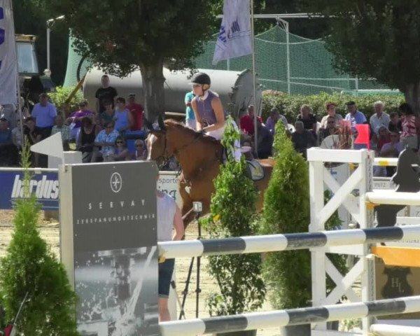 Reitturnier Oberderdingen 2018