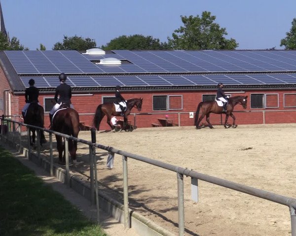 Reitturnier Ascheberg 2021