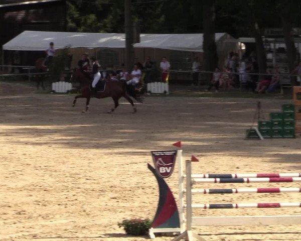 Reitturnier Neunkirchen-Salchendorf 2018
