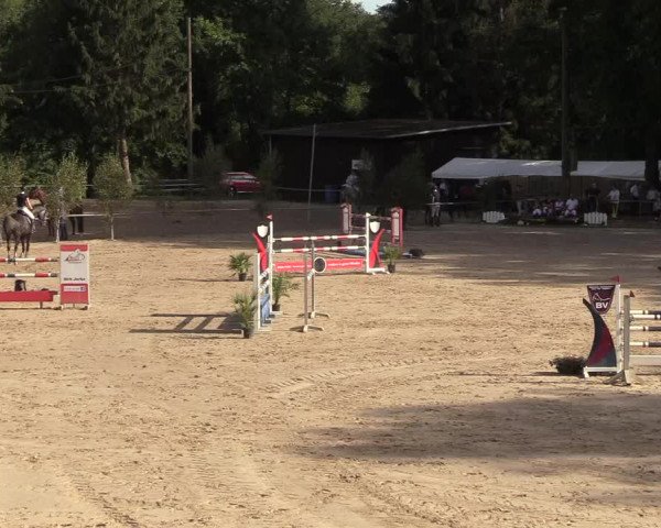 Reitturnier Neunkirchen-Salchendorf 2018