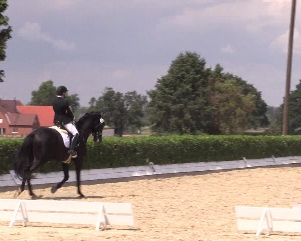 Reitturnier Gehlenbeck-Eilhausen 2018