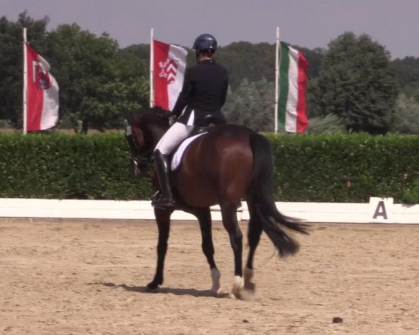Reitturnier Gehlenbeck-Eilhausen 2018
