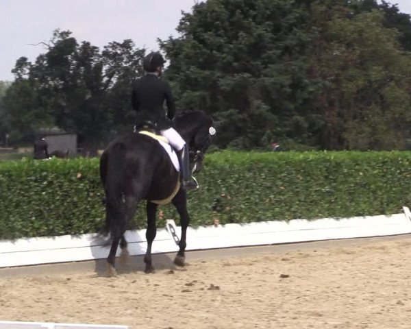 Reitturnier Gehlenbeck-Eilhausen 2018