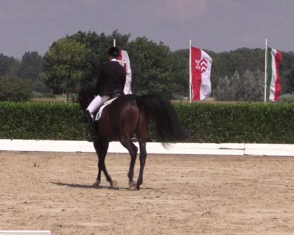 Reitturnier Gehlenbeck-Eilhausen 2018