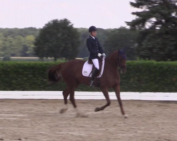 Reitturnier Gehlenbeck-Eilhausen 2018