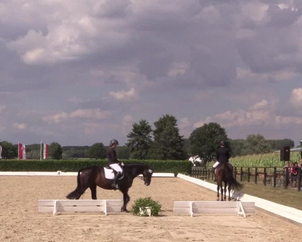 Reitturnier Gehlenbeck-Eilhausen 2018