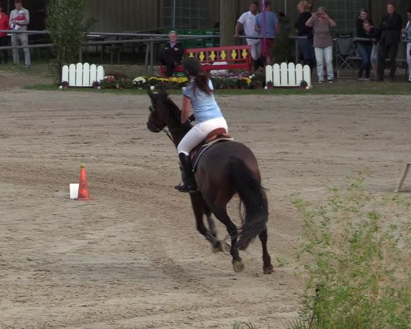 Reitturnier Neunkirchen-Salchendorf 2018