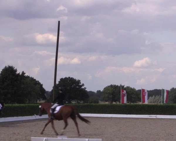 Reitturnier Gehlenbeck-Eilhausen 2018