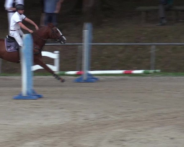 Reitturnier Neunkirchen-Salchendorf 2018