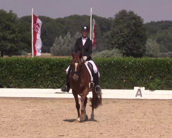 Reitturnier Gehlenbeck-Eilhausen 2018