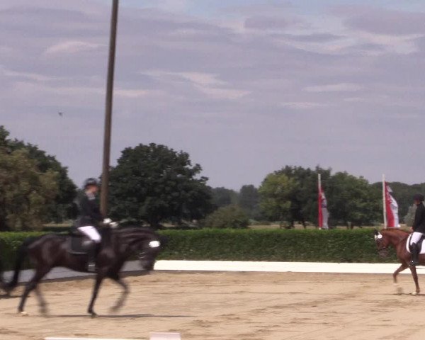 Reitturnier Gehlenbeck-Eilhausen 2018