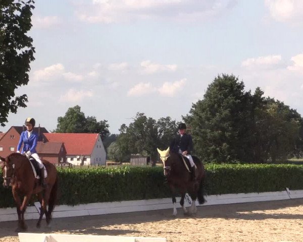 Reitturnier Gehlenbeck-Eilhausen 2018