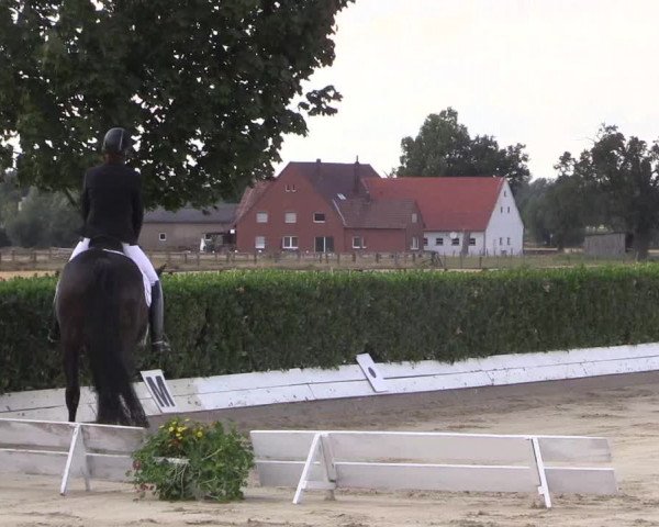 Reitturnier Gehlenbeck-Eilhausen 2018