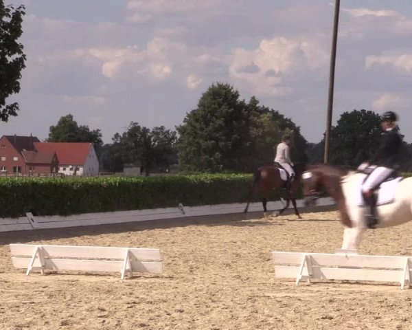 Reitturnier Gehlenbeck-Eilhausen 2018