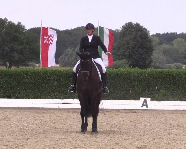 Reitturnier Gehlenbeck-Eilhausen 2018