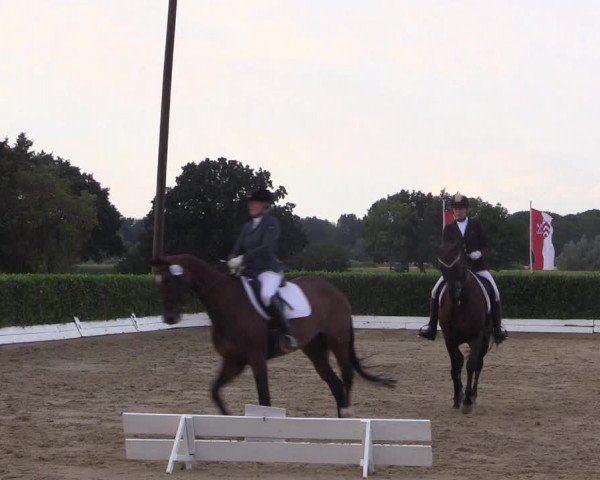 Reitturnier Gehlenbeck-Eilhausen 2018