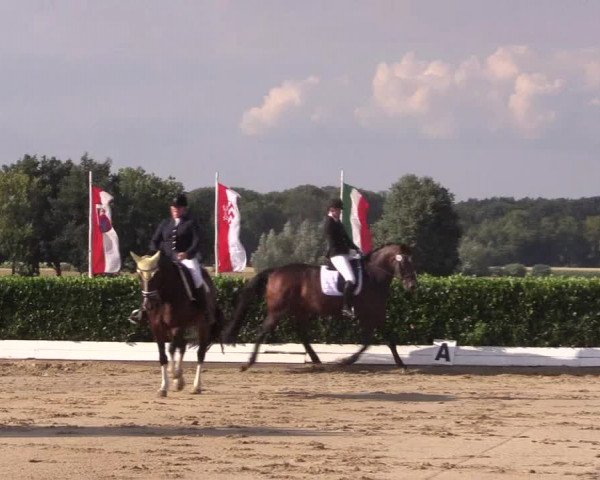 Reitturnier Gehlenbeck-Eilhausen 2018
