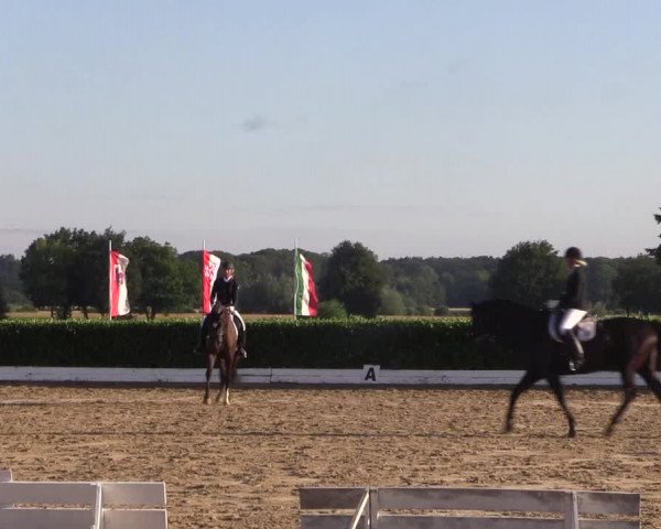 Reitturnier Gehlenbeck-Eilhausen 2018